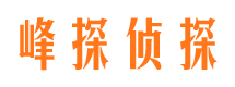 天门侦探公司